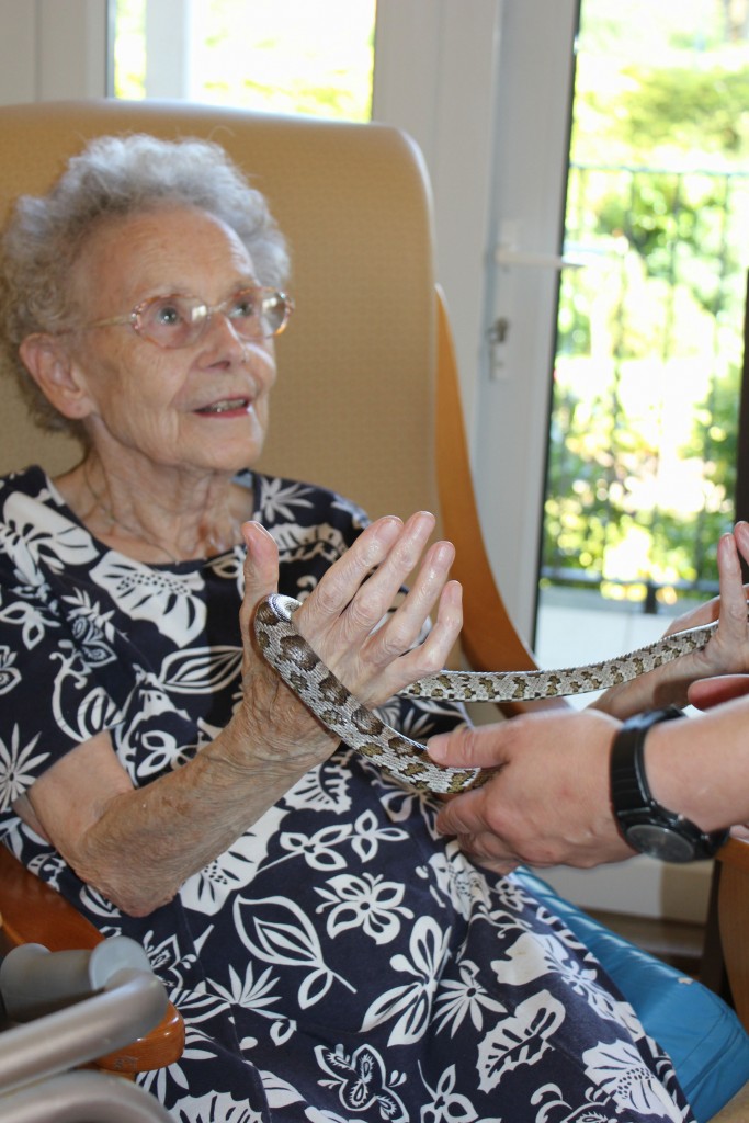 Residents enjoying their Zoolab experience, here at Bradfield Residential Home.