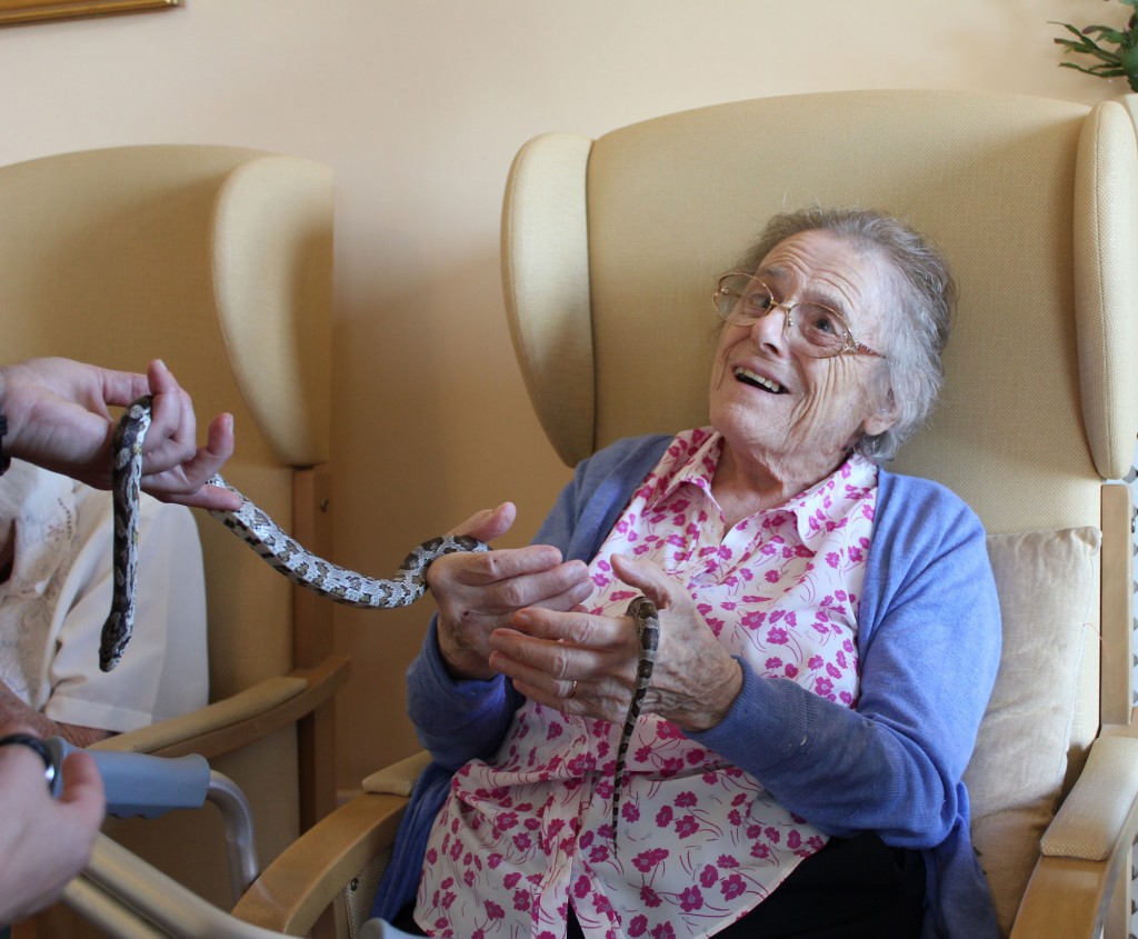 Fearless residents when Zoolab came to Bradfield Residential Home, Walmer, Deal Kent.